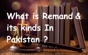 what is remand and its complet kinds with defenation.
